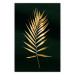 Wall Poster Graceful Leaf - golden plant composition on a dark green background 135605