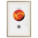 Wall Poster Venus  - The Brightest Planet in the Solar System II 149105 additionalThumb 26