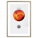 Wall Poster Venus  - The Brightest Planet in the Solar System II 149105 additionalThumb 25