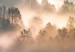 Canvas Art Print Forest in the Fog - Mountainous Landscape With Trees at Sunrise 149805 additionalThumb 4
