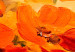Canvas Art Print Land of Poppies 88705 additionalThumb 4