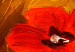 Canvas Art Print Land of Poppies 88705 additionalThumb 5