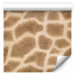 Wallpaper Animal theme: giraffe 89105 additionalThumb 6