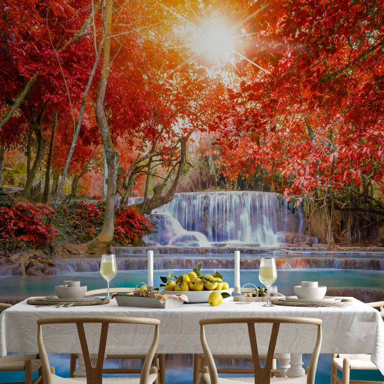 Wall Mural Nature's Magic 90505 additionalImage 6
