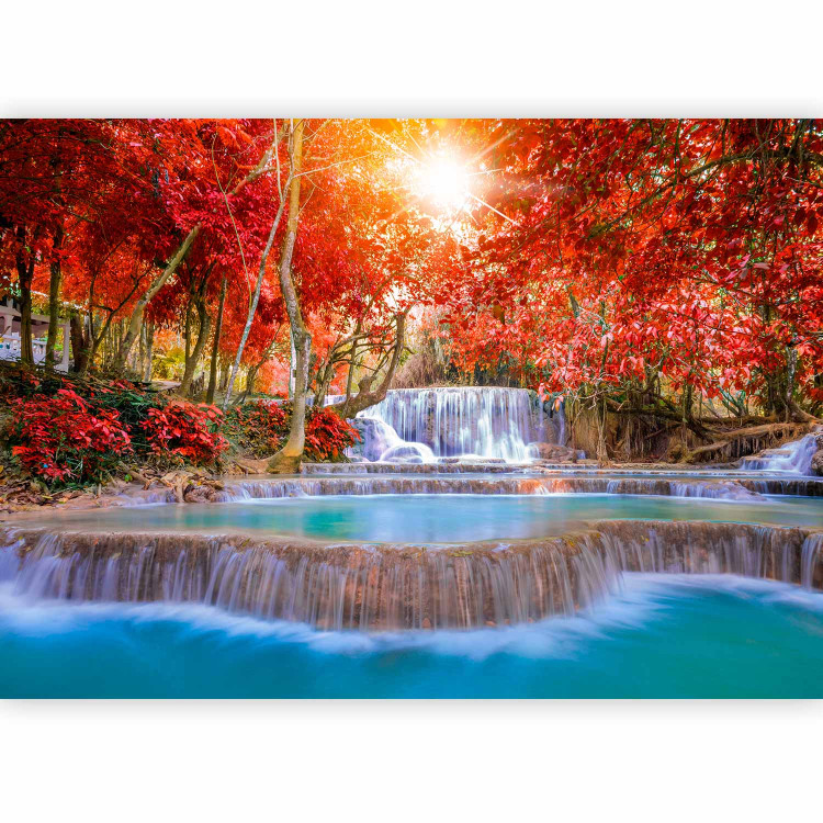 Wall Mural Nature's Magic 90505 additionalImage 1