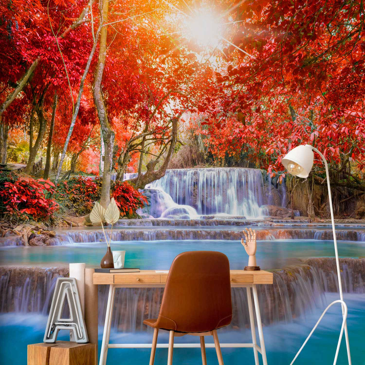 Wall Mural Nature's Magic 90505 additionalImage 4