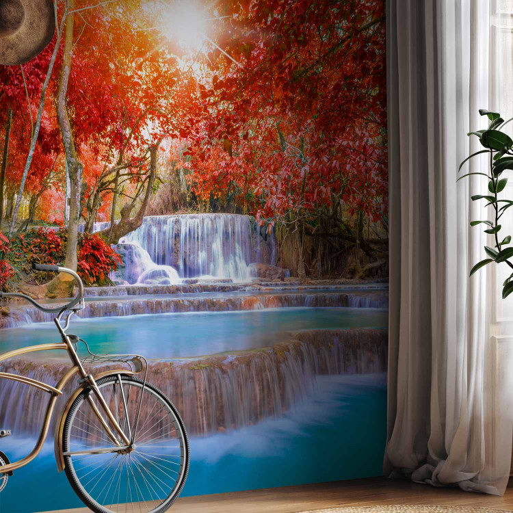 Wall Mural Nature's Magic 90505 additionalImage 7