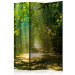 Room Separator Road in the Sun - landscape of a road amidst trees and sunlight 95605