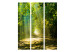 Room Separator Road in the Sun - landscape of a road amidst trees and sunlight 95605 additionalThumb 3