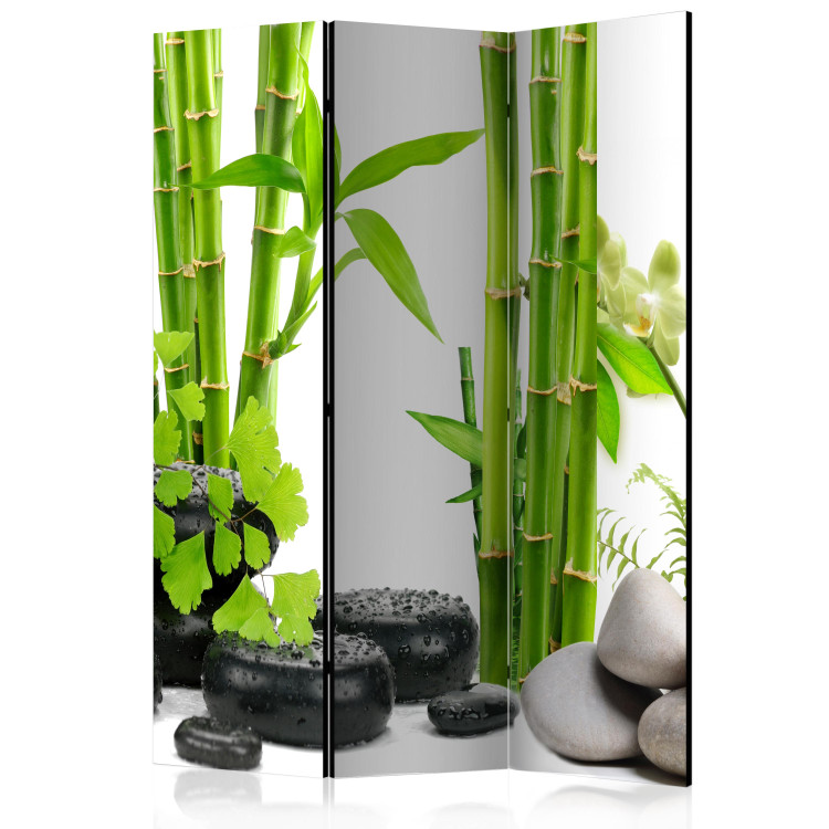 Room Divider Screen Bamboos and Stones - oriental pebbles and bamboo stalk in Zen style 113915