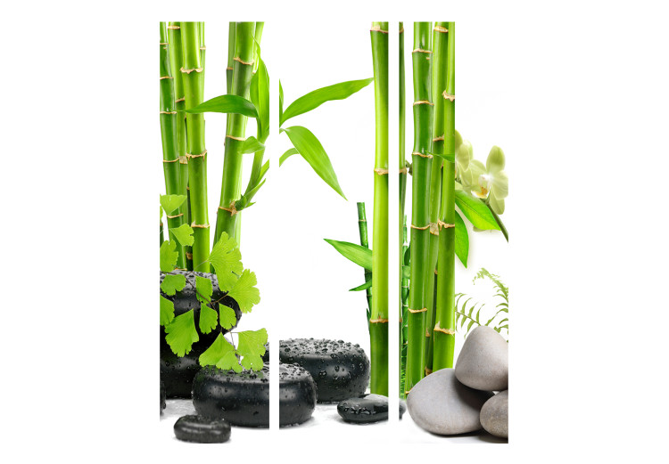 Room Divider Screen Bamboos and Stones - oriental pebbles and bamboo stalk in Zen style 113915 additionalImage 3