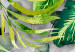 Poster Wild Thing - botanical composition with tropical leaves and text 114315 additionalThumb 8