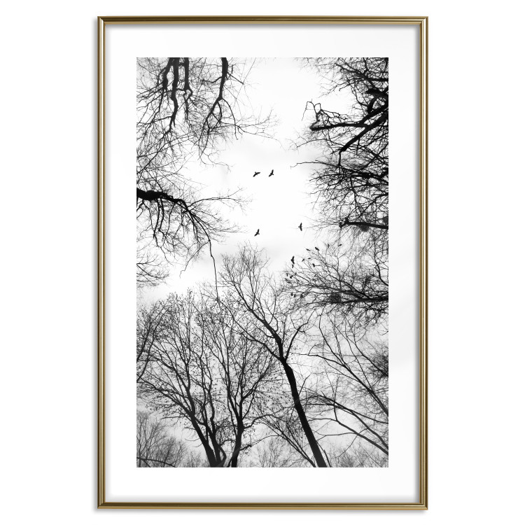 Poster Winter flight - black and white landscape with birds circling among tree tops 114915 additionalImage 16