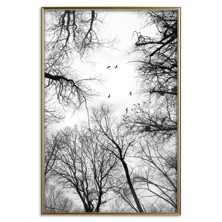 Poster Winter flight - black and white landscape with birds circling among tree tops 114915 additionalImage 16