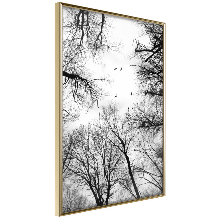 Poster Winter flight - black and white landscape with birds circling among tree tops 114915 additionalImage 12