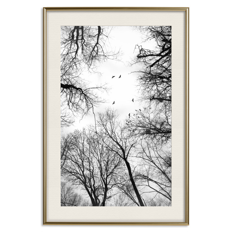 Poster Winter flight - black and white landscape with birds circling among tree tops 114915 additionalImage 19