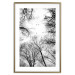 Poster Winter flight - black and white landscape with birds circling among tree tops 114915 additionalThumb 14