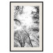 Poster Winter flight - black and white landscape with birds circling among tree tops 114915 additionalThumb 18