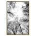 Poster Winter flight - black and white landscape with birds circling among tree tops 114915 additionalThumb 16