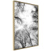 Poster Winter flight - black and white landscape with birds circling among tree tops 114915 additionalThumb 12