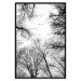 Poster Winter flight - black and white landscape with birds circling among tree tops 114915 additionalThumb 24