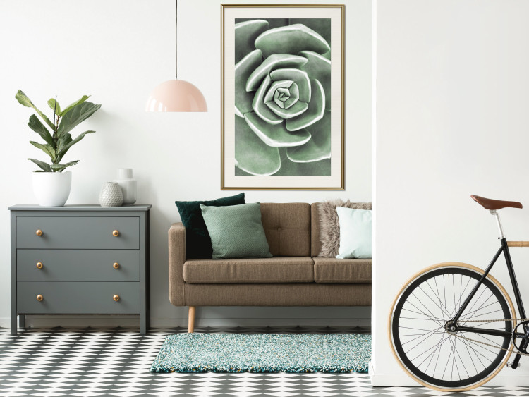 Poster Beautiful Succulent - Scandinavian plant composition with green leaves 117115 additionalImage 22
