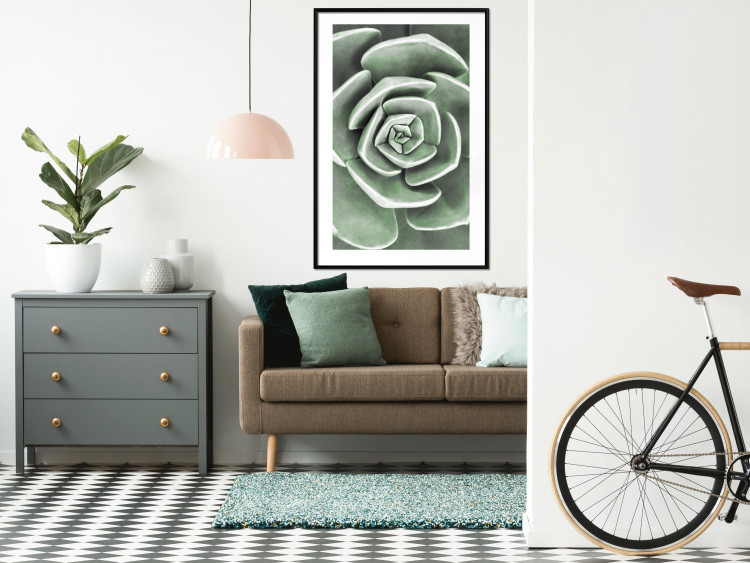 Poster Beautiful Succulent - Scandinavian plant composition with green leaves 117115 additionalImage 14