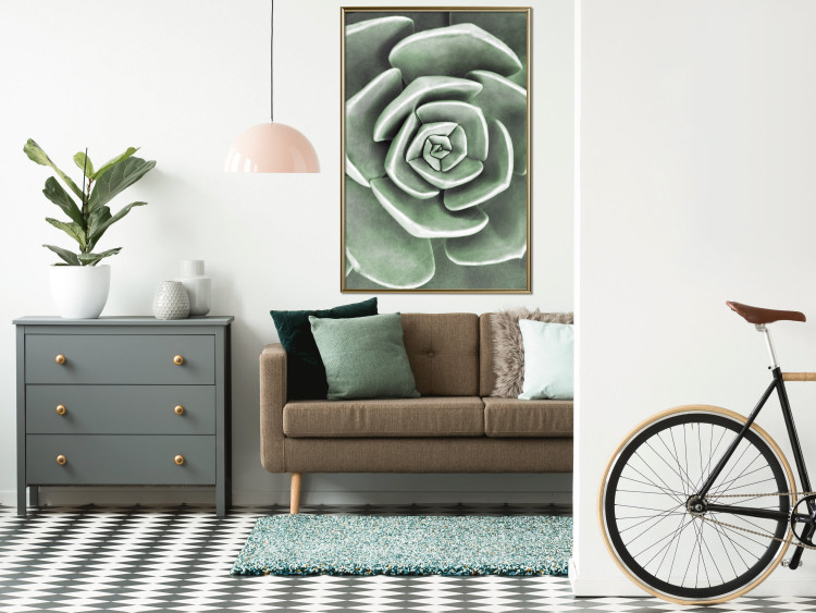 Poster Beautiful Succulent - Scandinavian plant composition with green leaves 117115 additionalImage 5