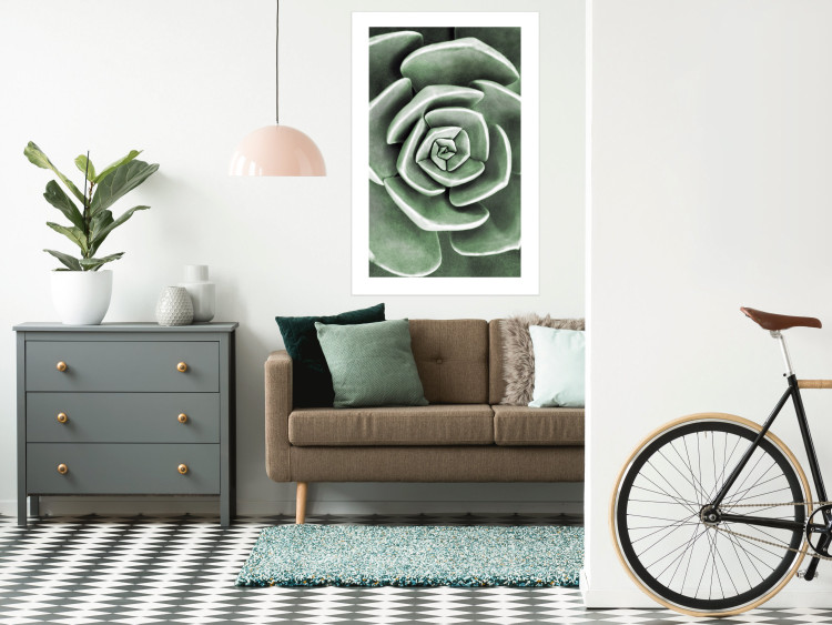 Poster Beautiful Succulent - Scandinavian plant composition with green leaves 117115 additionalImage 5