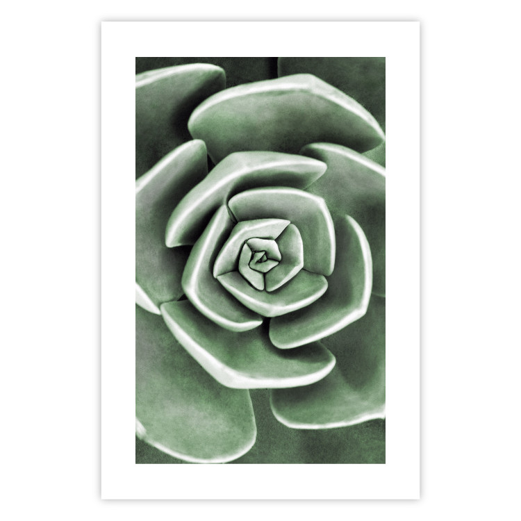Poster Beautiful Succulent - Scandinavian plant composition with green leaves 117115 additionalImage 26