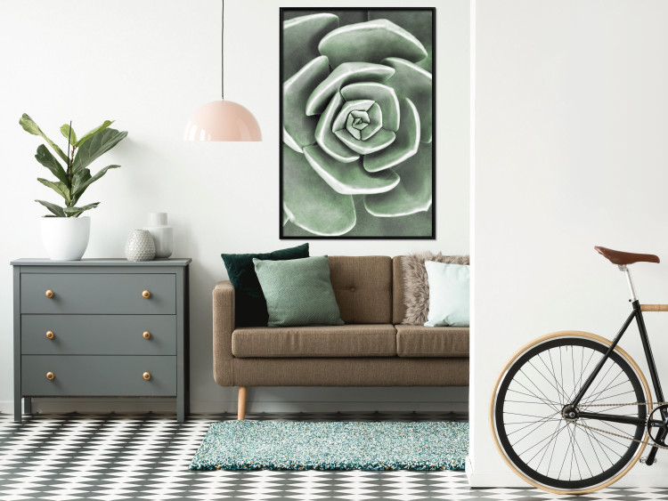 Poster Beautiful Succulent - Scandinavian plant composition with green leaves 117115 additionalImage 6