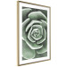 Poster Beautiful Succulent - Scandinavian plant composition with green leaves 117115 additionalThumb 7