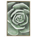 Poster Beautiful Succulent - Scandinavian plant composition with green leaves 117115 additionalThumb 25