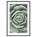 Poster Beautiful Succulent - Scandinavian plant composition with green leaves 117115 additionalThumb 15