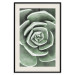 Poster Beautiful Succulent - Scandinavian plant composition with green leaves 117115 additionalThumb 19
