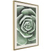 Poster Beautiful Succulent - Scandinavian plant composition with green leaves 117115 additionalThumb 3