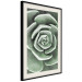 Poster Beautiful Succulent - Scandinavian plant composition with green leaves 117115 additionalThumb 2