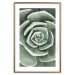 Poster Beautiful Succulent - Scandinavian plant composition with green leaves 117115 additionalThumb 18