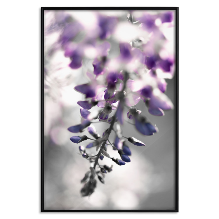 Wall Poster Purple Bluebells - botanical composition with delicate purple flowers 121615 additionalImage 18