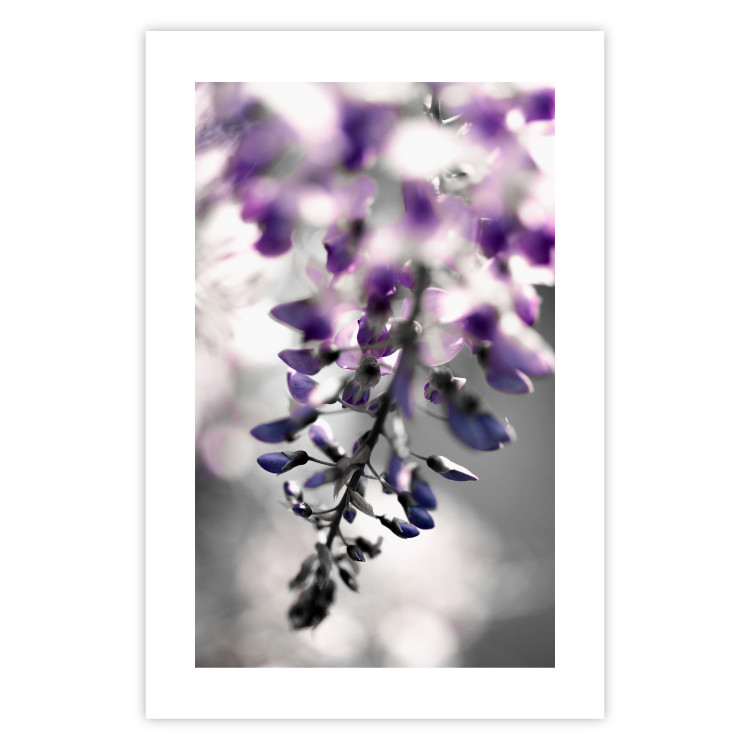 Wall Poster Purple Bluebells - botanical composition with delicate purple flowers 121615 additionalImage 19
