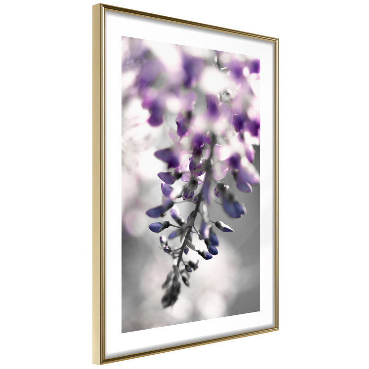 Wall Poster Purple Bluebells - botanical composition with delicate purple flowers 121615 additionalImage 6
