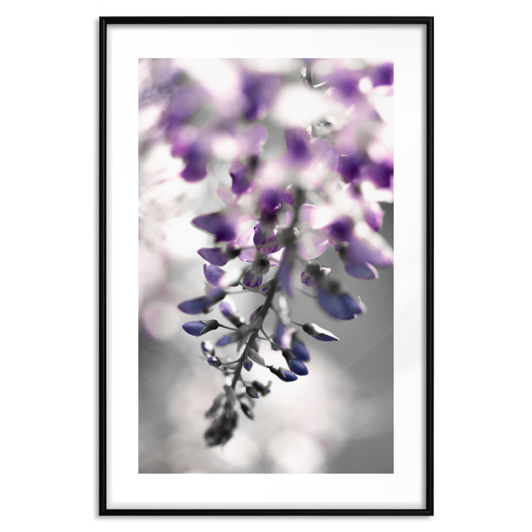 Wall Poster Purple Bluebells - botanical composition with delicate purple flowers 121615 additionalImage 15