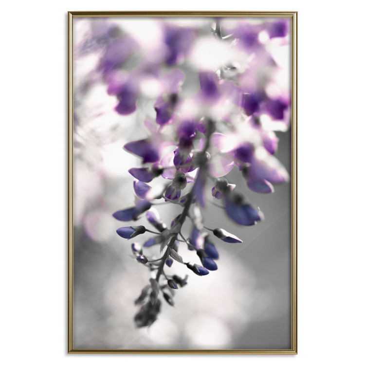 Wall Poster Purple Bluebells - botanical composition with delicate purple flowers 121615 additionalImage 16