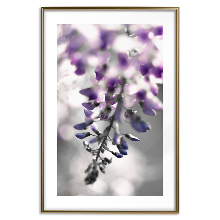 Wall Poster Purple Bluebells - botanical composition with delicate purple flowers 121615 additionalImage 14