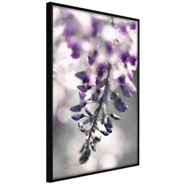 Wall Poster Purple Bluebells - botanical composition with delicate purple flowers 121615 additionalImage 10