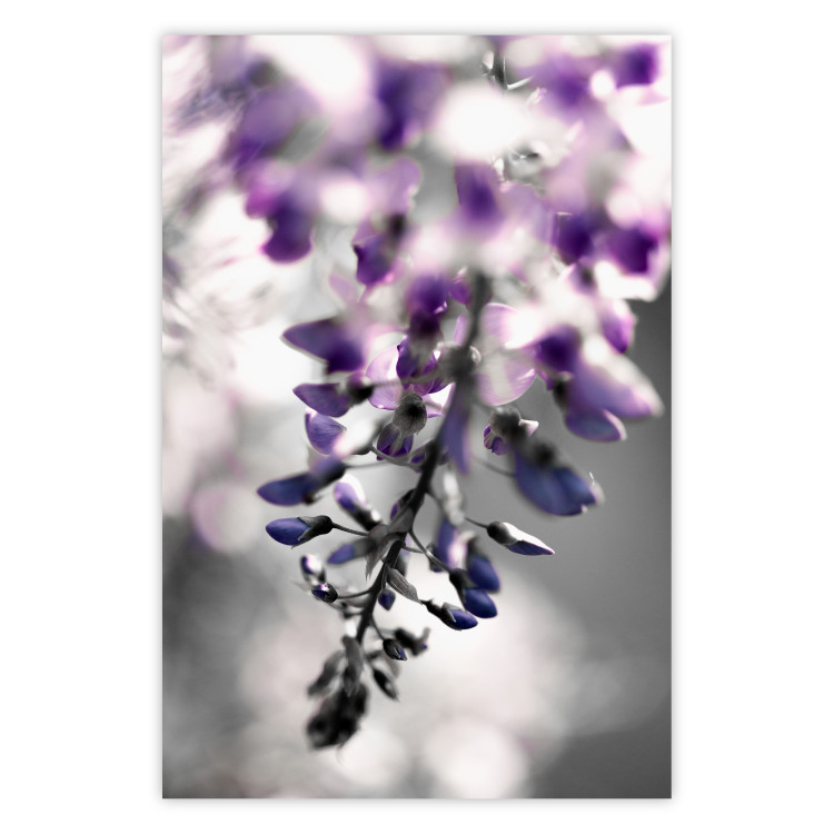 Wall Poster Purple Bluebells - botanical composition with delicate purple flowers 121615