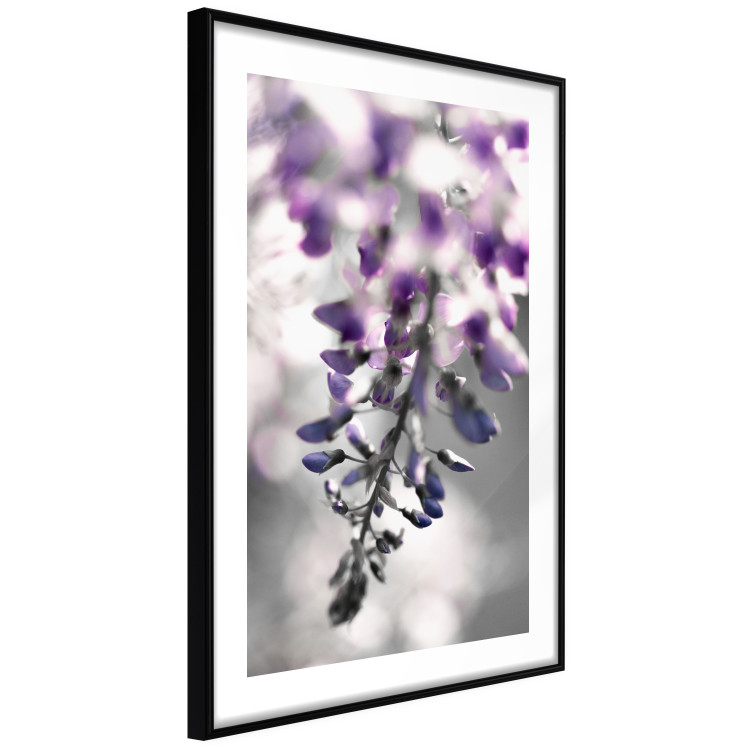 Wall Poster Purple Bluebells - botanical composition with delicate purple flowers 121615 additionalImage 11