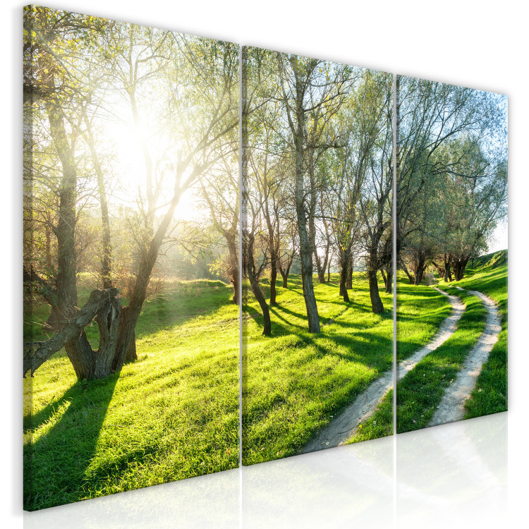 Canvas Print May Orchard (3 Parts) 122215 additionalImage 2