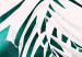 Poster Emerald Shade - plant texture of white leaves on a green background 122315 additionalThumb 4