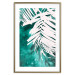 Poster Emerald Shade - plant texture of white leaves on a green background 122315 additionalThumb 16
